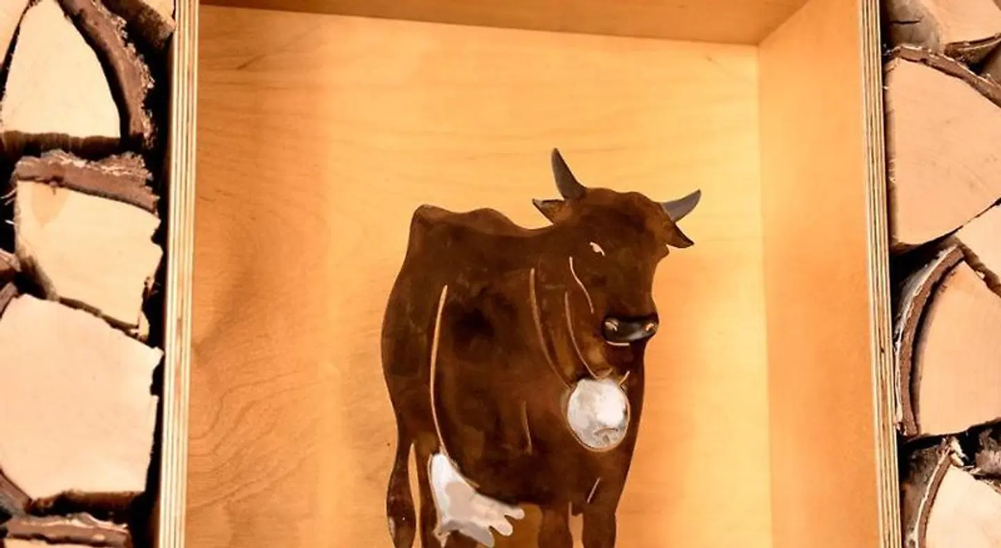 Ochsen Tiere