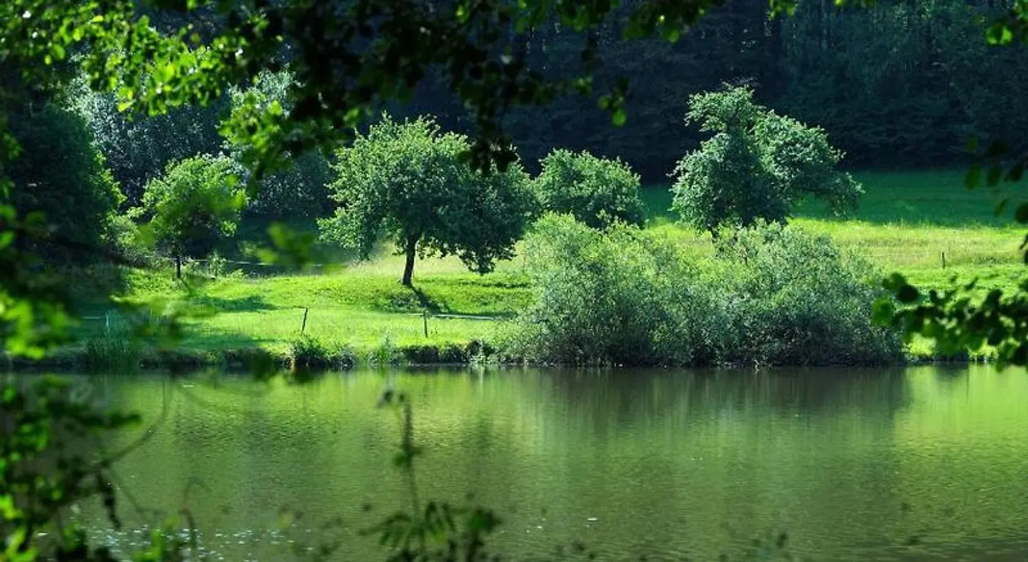 Landhotel Rössle Garten