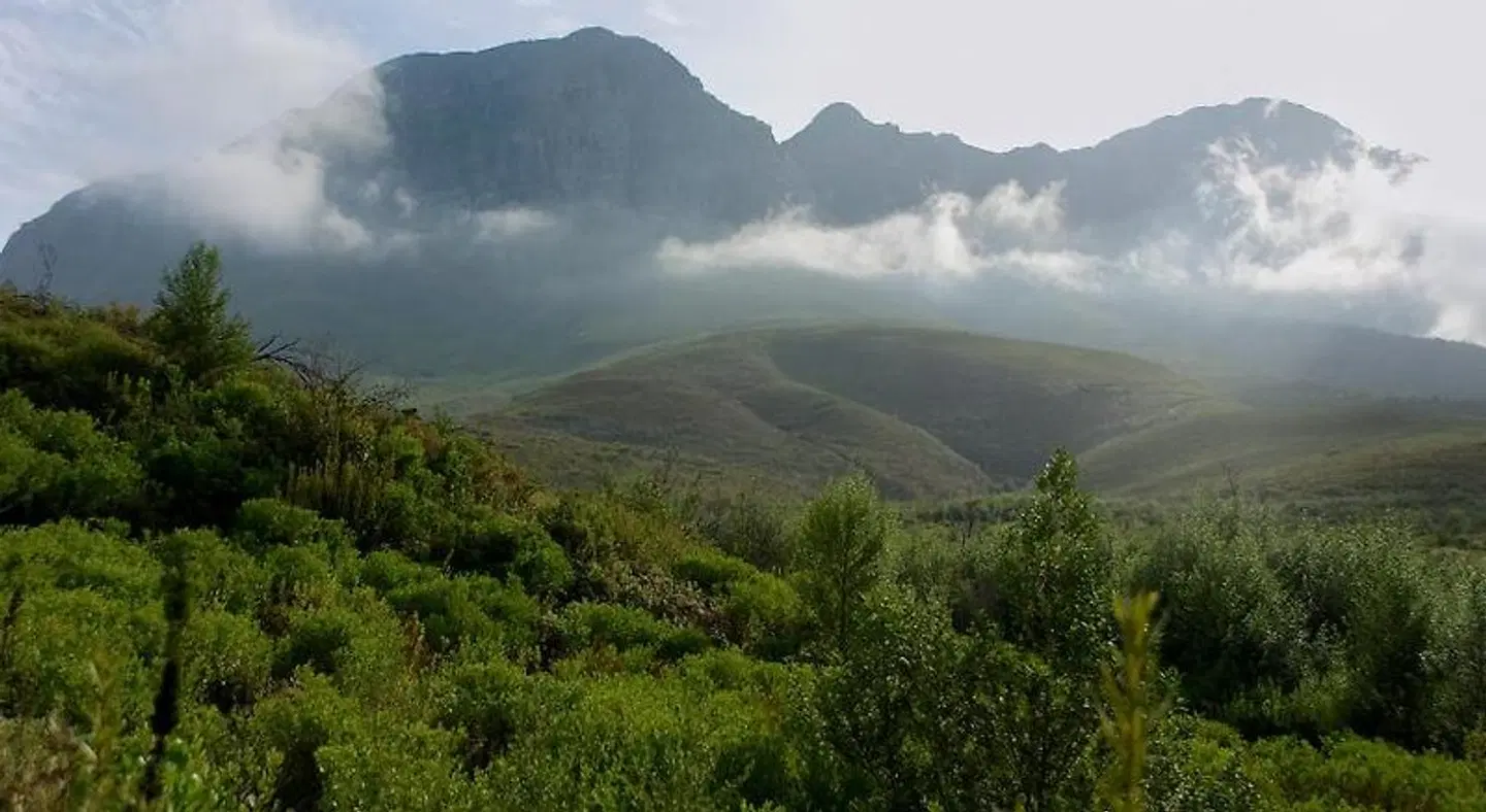 Golden Hill Guest House & Tours - Adults Only LANDSCAPE