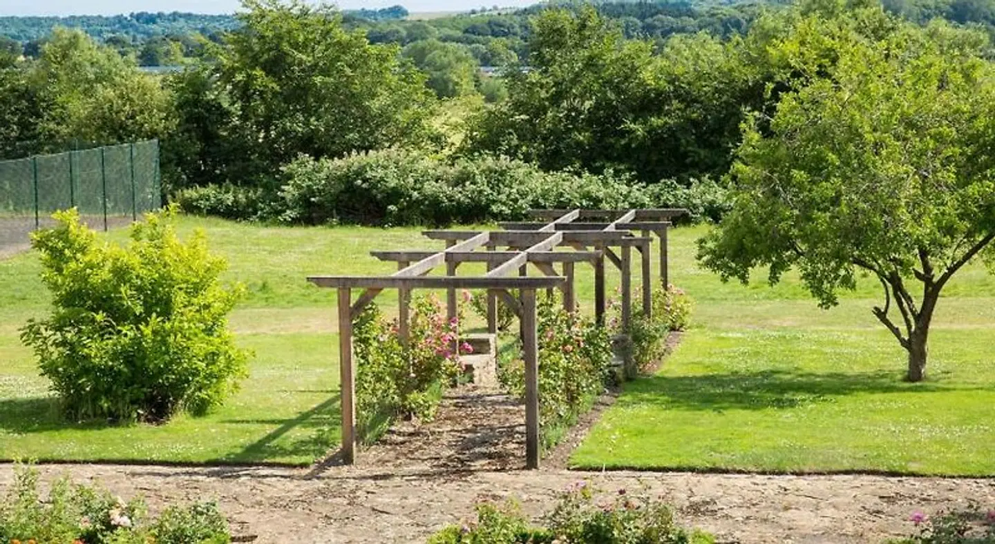 Prince Hill House Garten