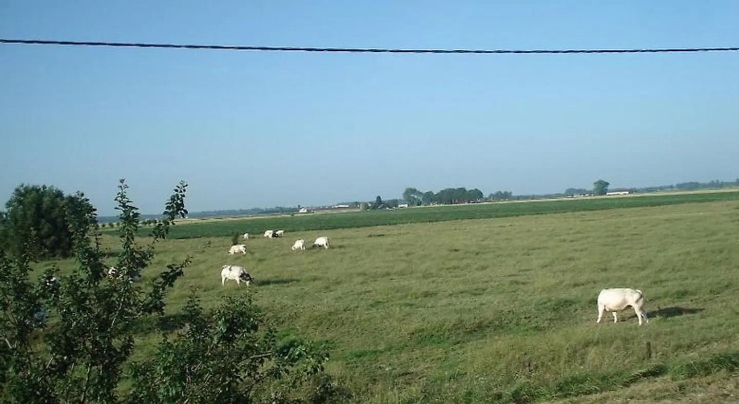B&B Hoeve 't Geleed LANDSCAPE