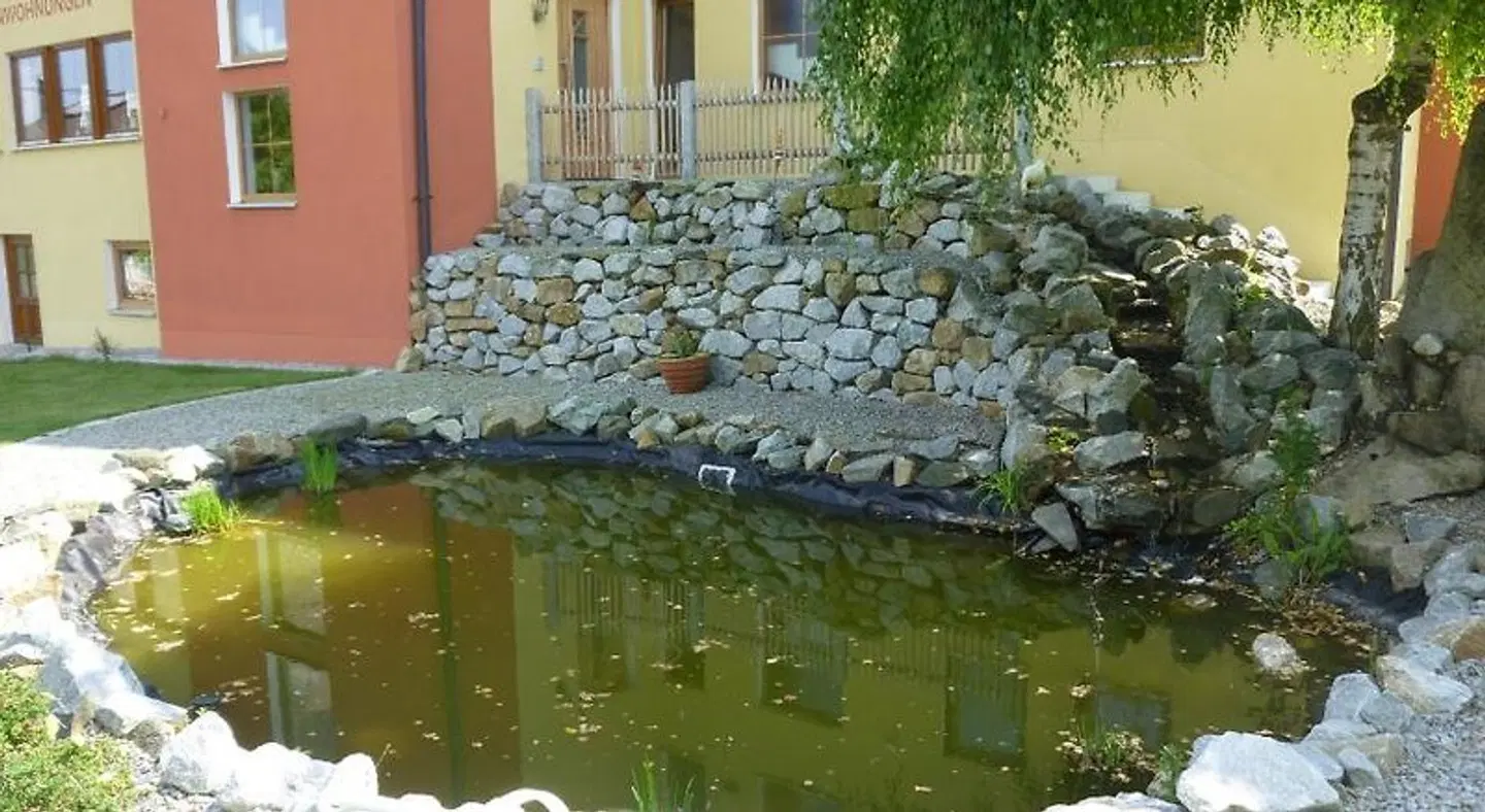 Pension Ferienwohnungen Ludwig Garten