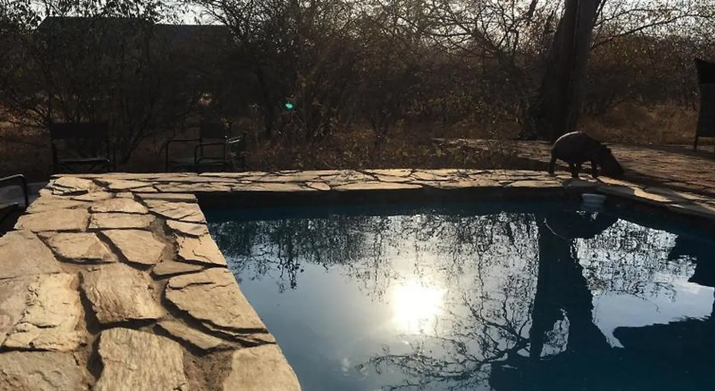 Giraffe Lodge LANDSCAPE