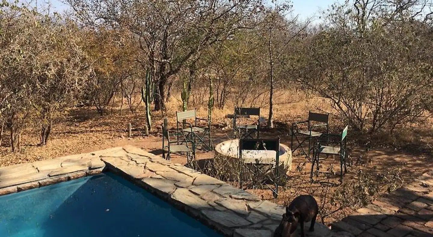 Giraffe Lodge LANDSCAPE