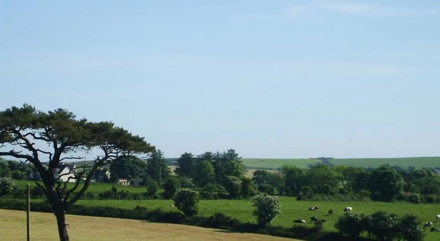 The Brown Hen LANDSCAPE