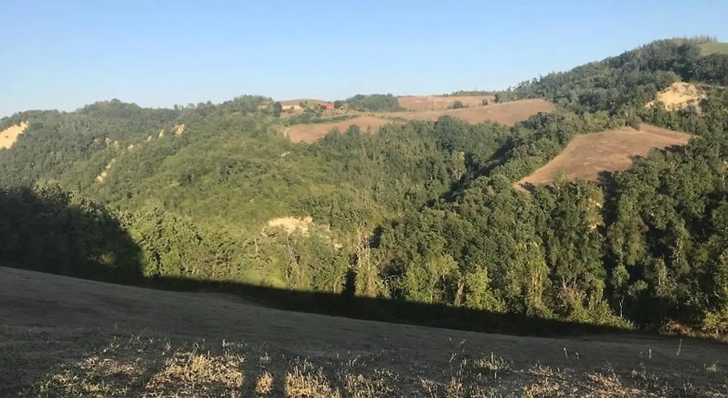 Agriturismo Pizzicalaluna LANDSCAPE