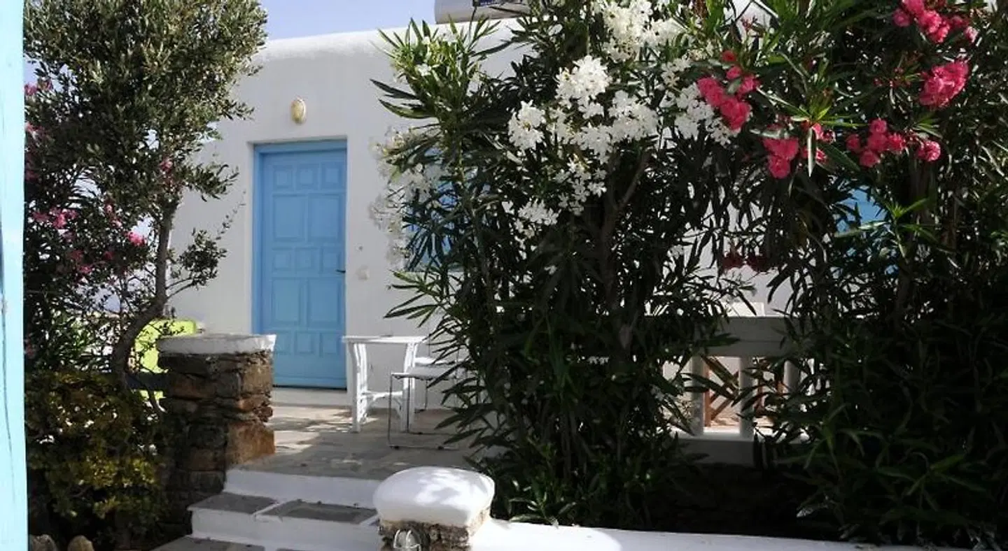 Katerina View Mykonos Tiere