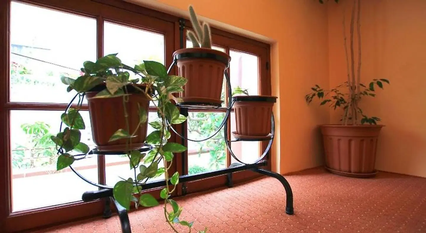 Hotel Anastasia ROOM_EXAMPLE