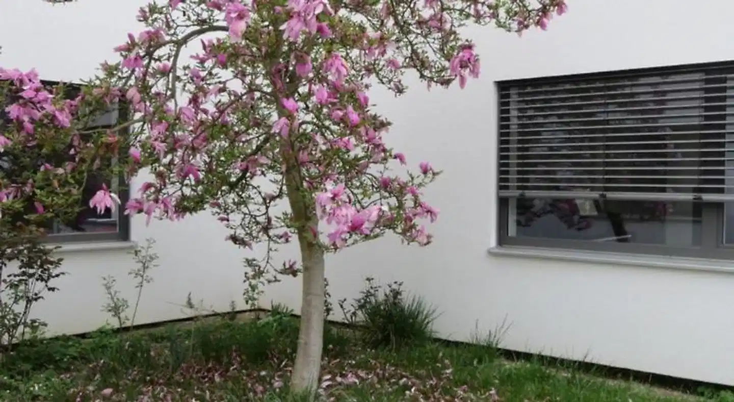 Brahms 25 Aussenansicht