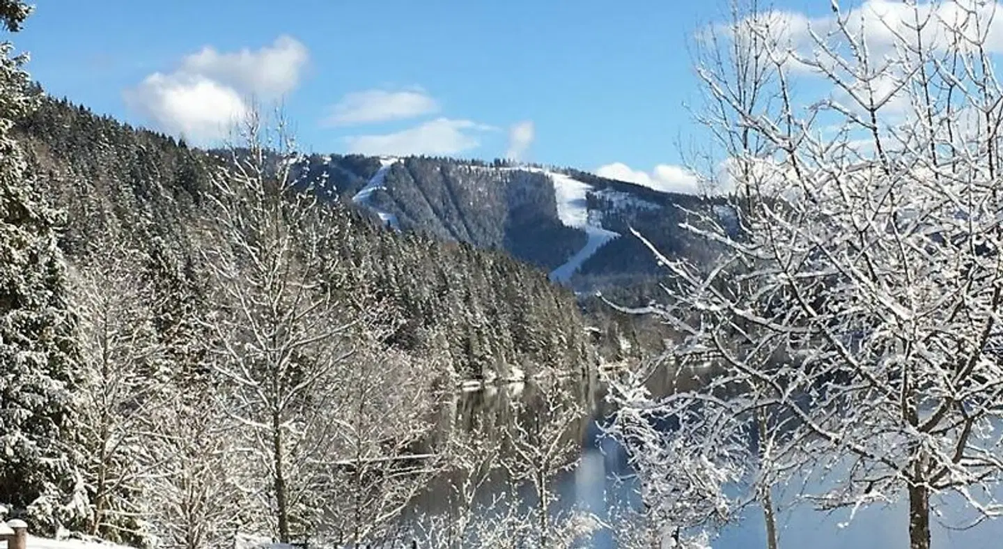 Volenter Gästehaus LANDSCAPE