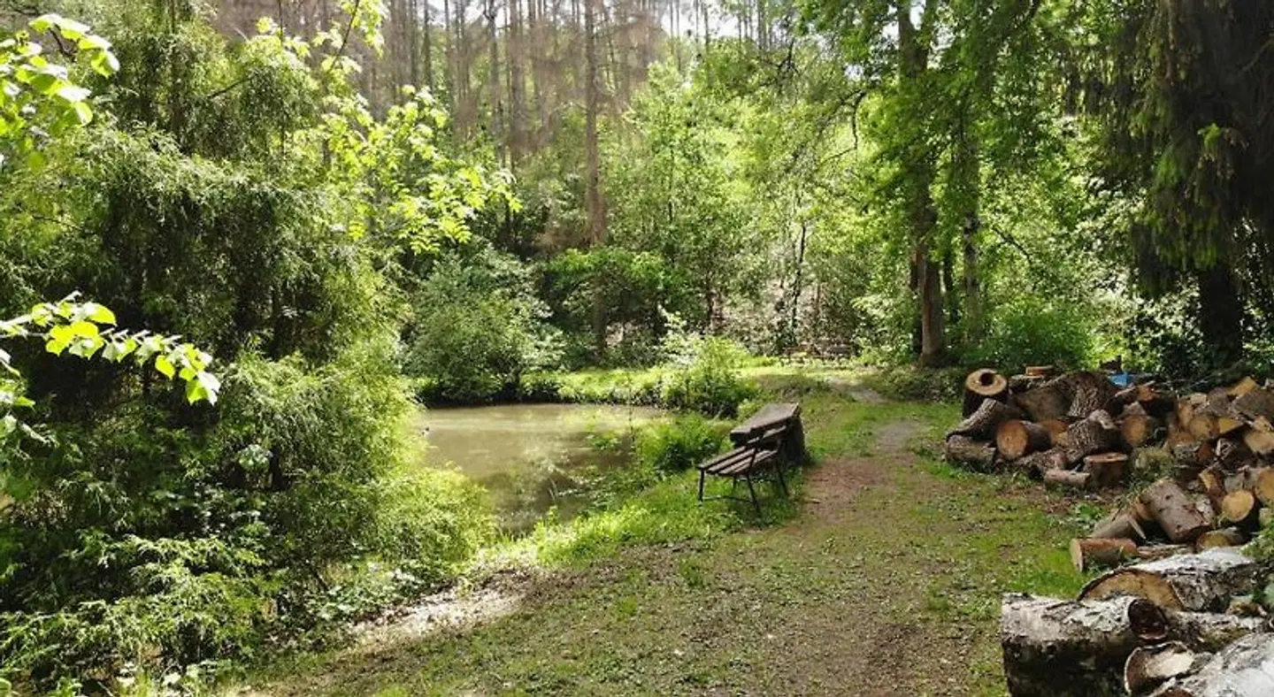 Land-gut-Hotel Waldgasthof Zur Margarethenmühle Garten