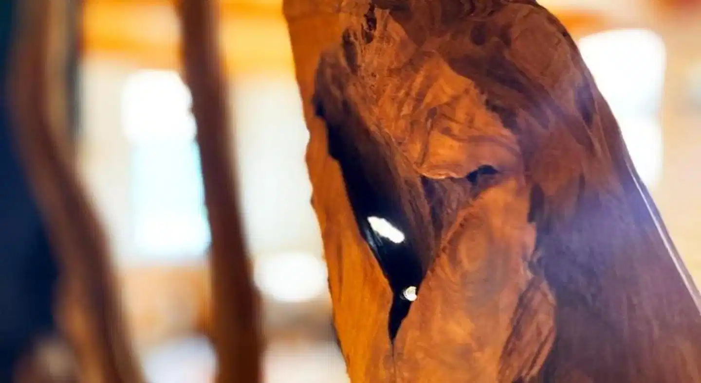 Landgasthof Kanz Landschaft