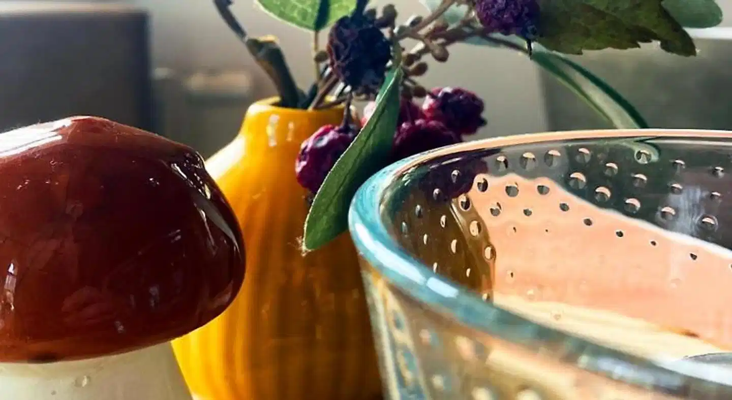 Landgasthof Kanz Tiere