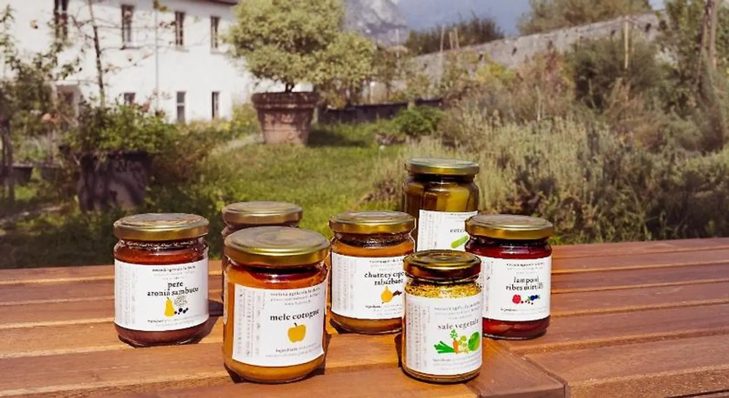 Agriturismo la Derta Terrasse
