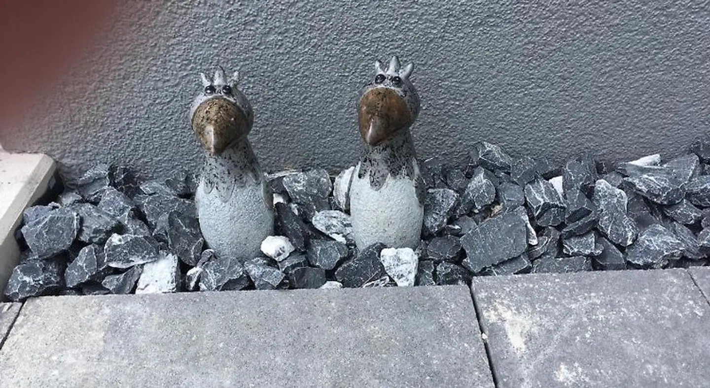 Boutique Hotel Chalet Weinberg Tiere