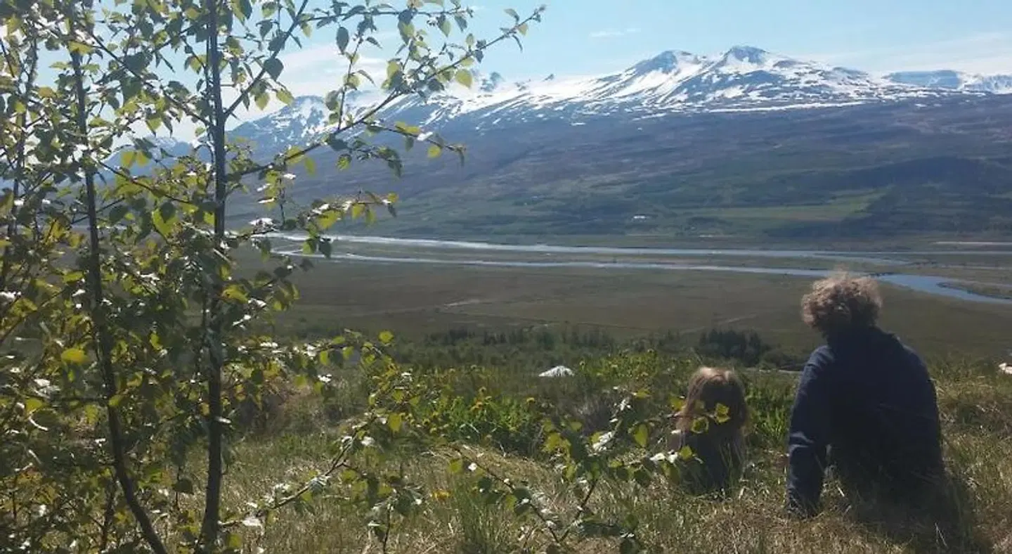 Iceland Yurt LANDSCAPE