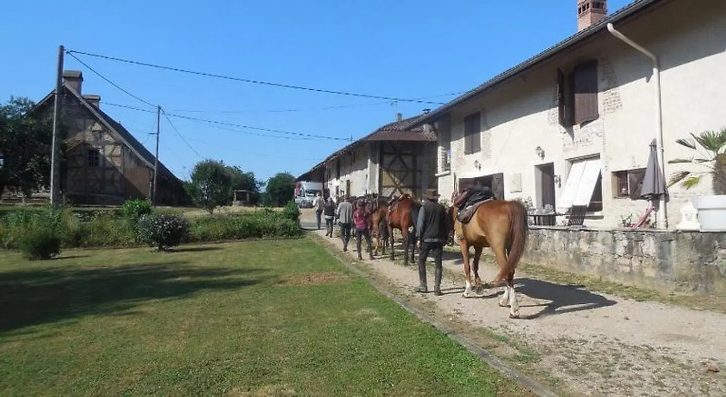 House La jument grise Tiere