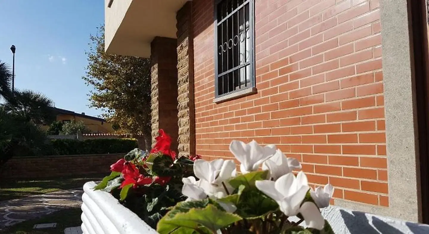 Myricae guest house - Fiumicino aeroporto Terrasse