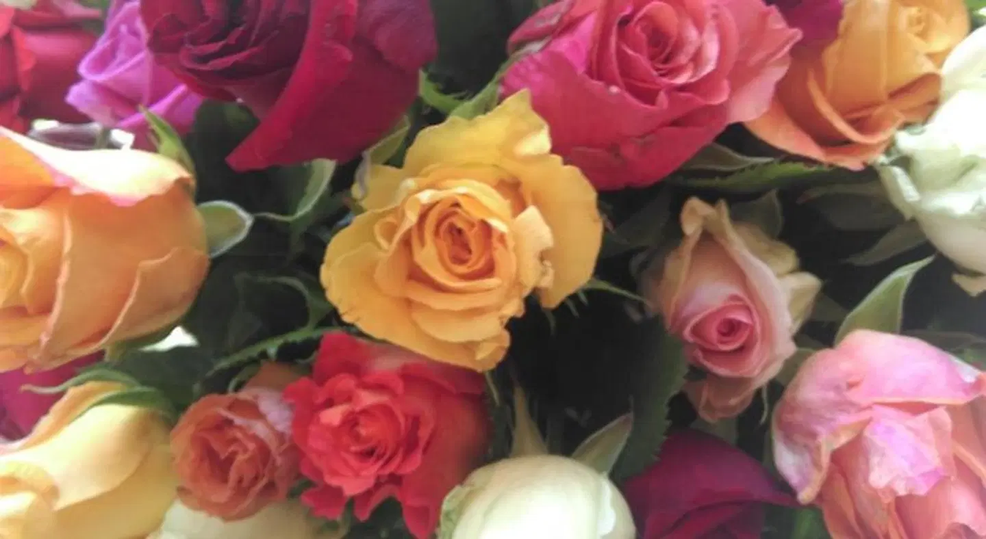 Schlosshotel Betzenstein HEALTH_BEAUTY