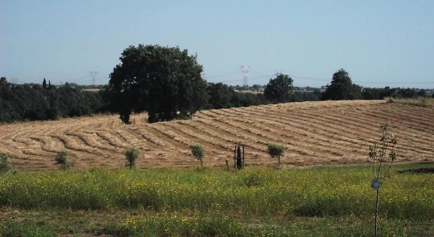 Poderi di Tragliatella Farmhouse Tiere