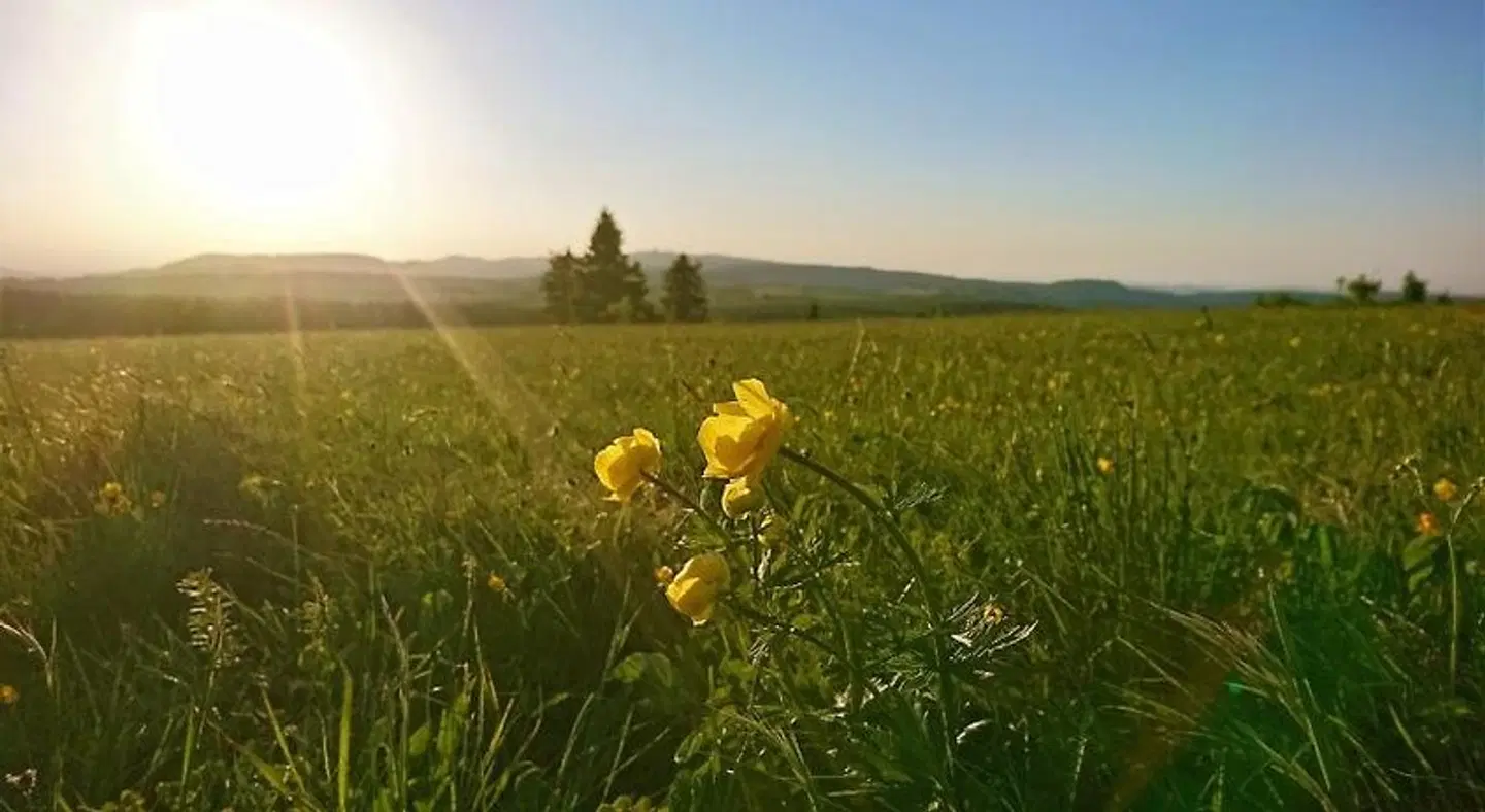 Pension Weinig LANDSCAPE