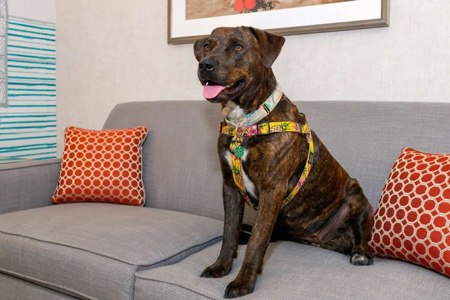 Hampton Inn Buffalo - Williamsville Tiere