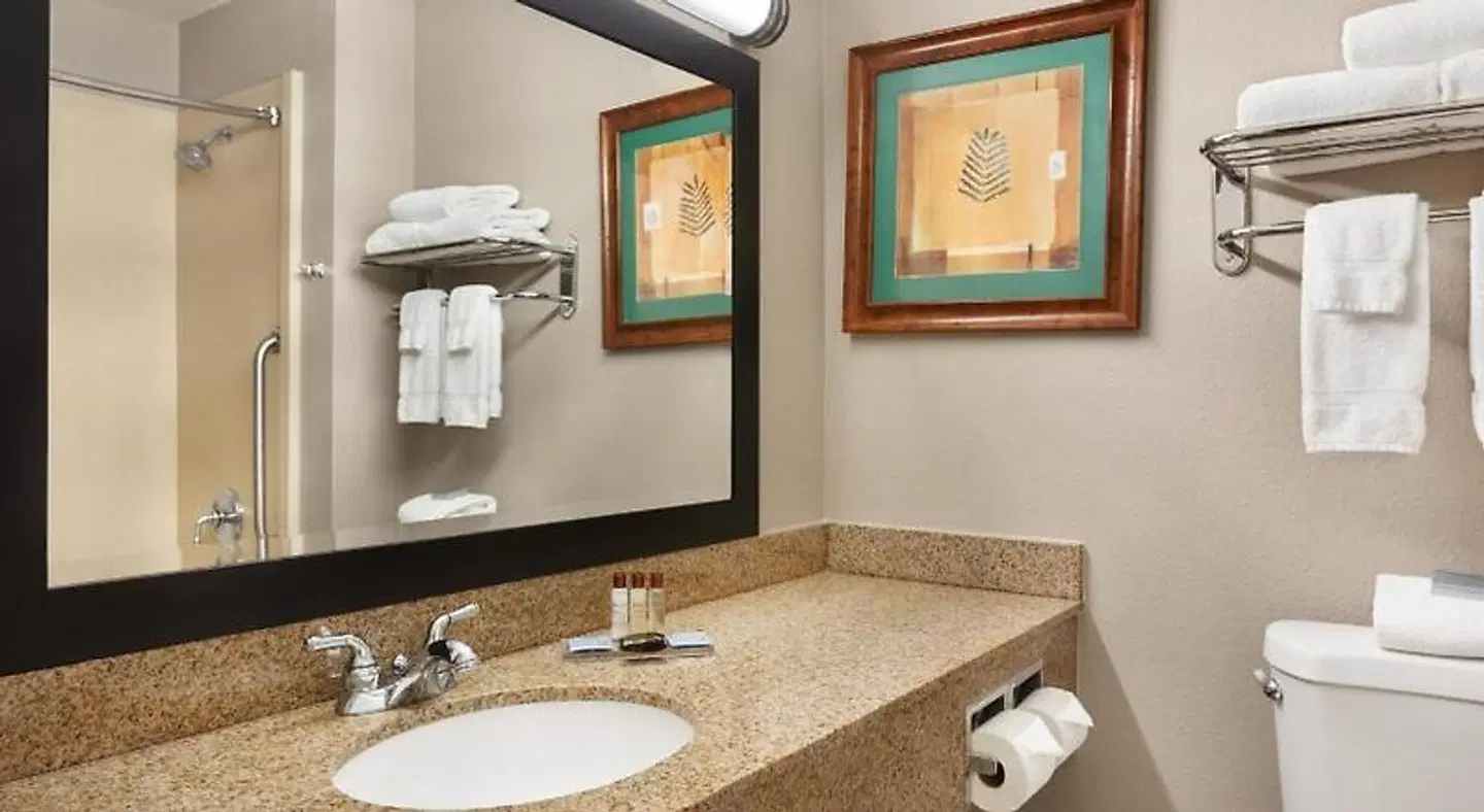 Wingate by Wyndham Bentonville Airport Badezimmer