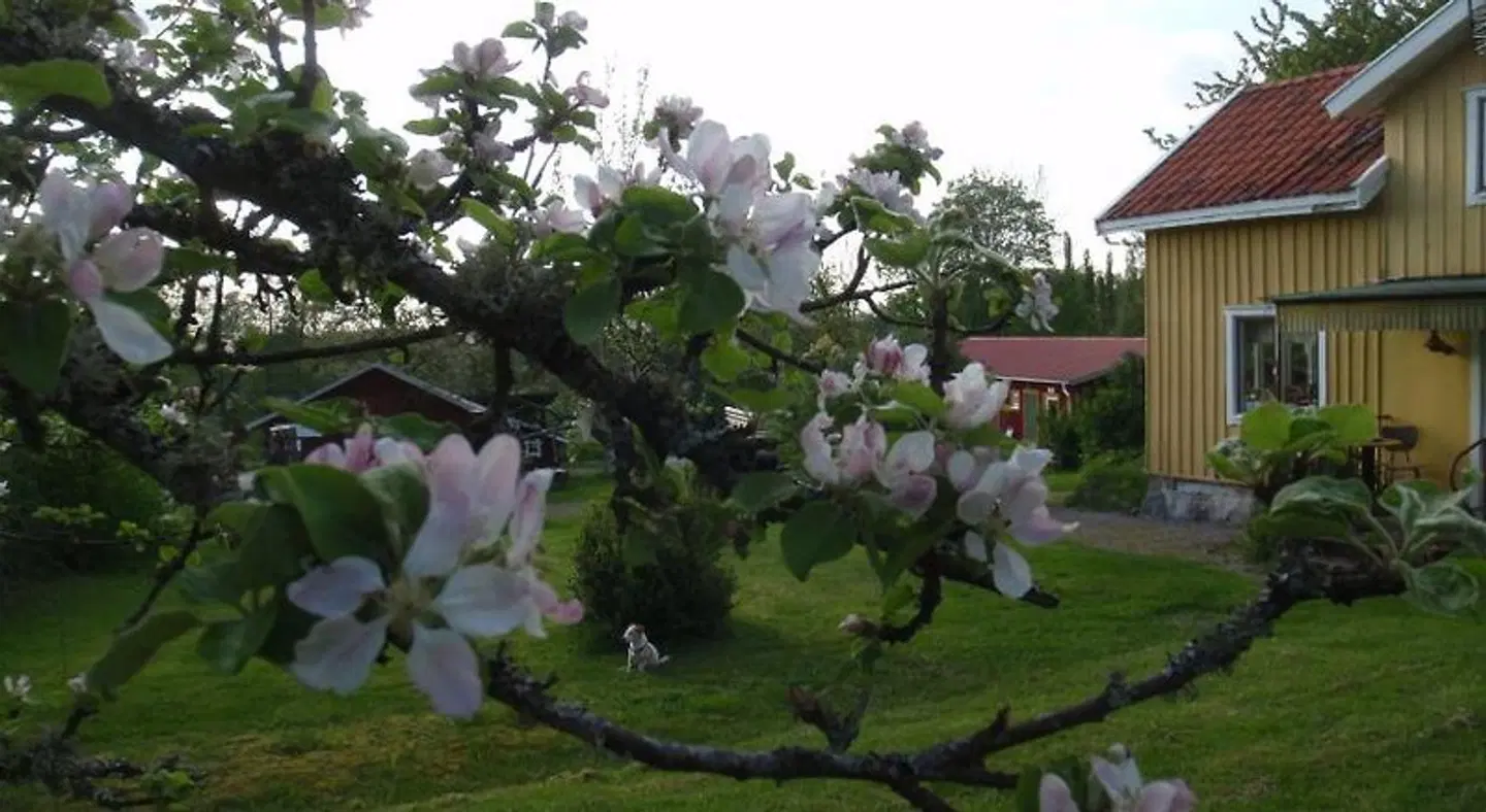 STF Lugnåsberget Hostel Garten