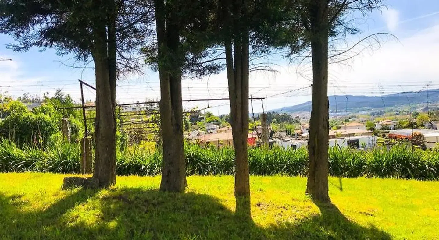 Quinta da Tulha Garten