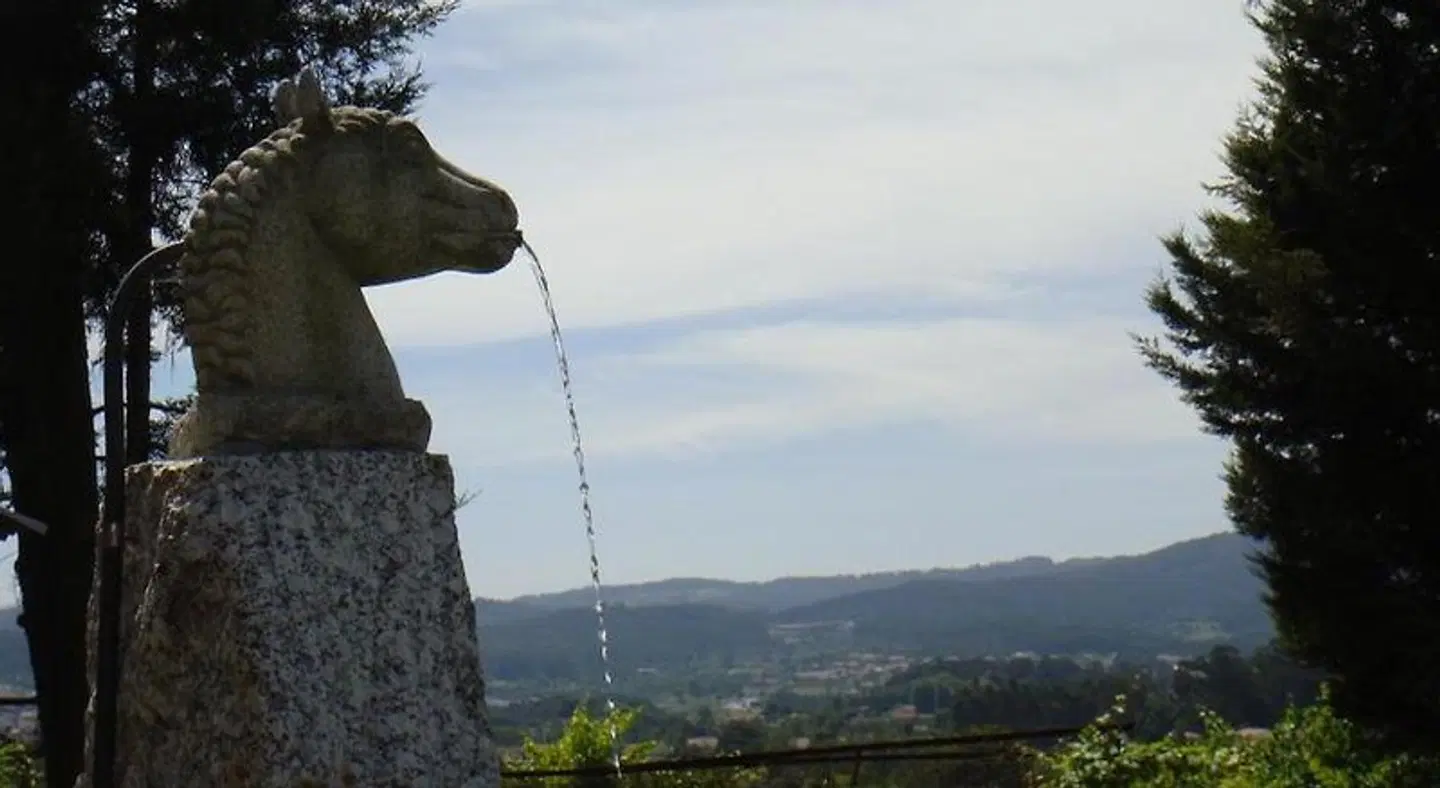 Quinta da Tulha LANDSCAPE