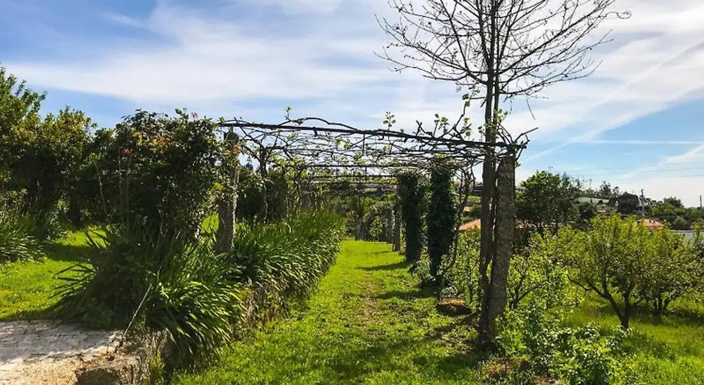 Quinta da Tulha LANDSCAPE