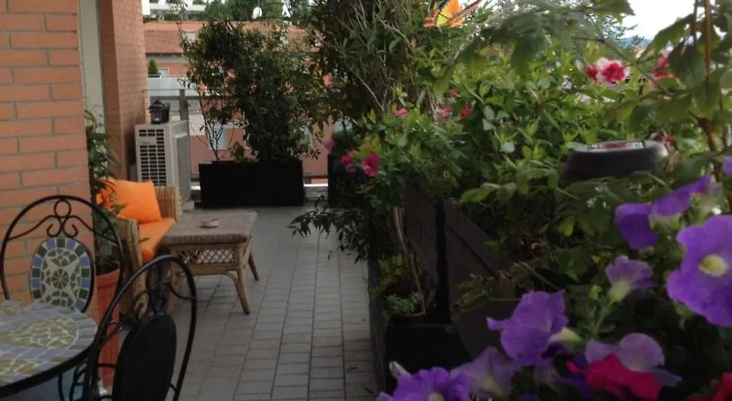 B&B Pitstop Terrasse