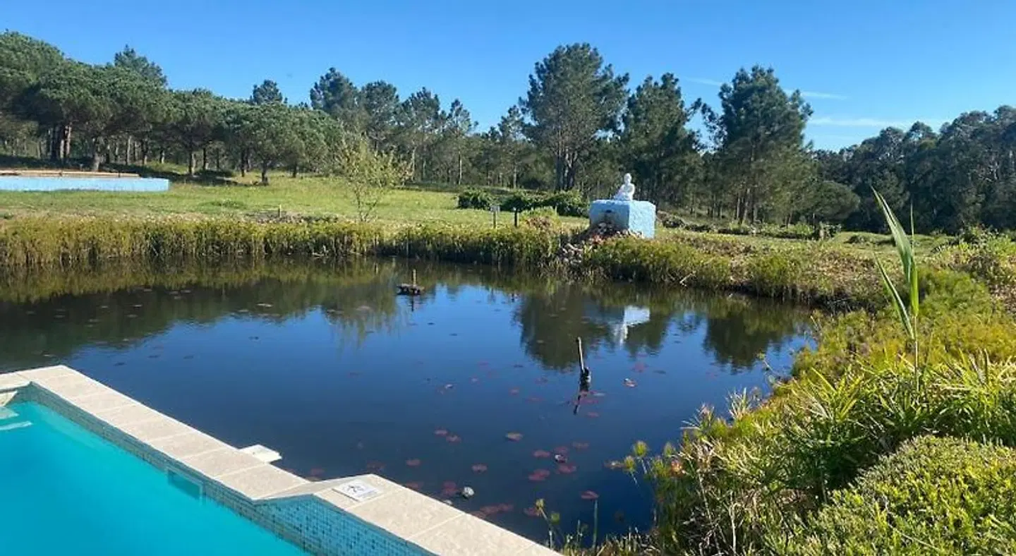 Casa Vicentina OUTDOOR_POOL