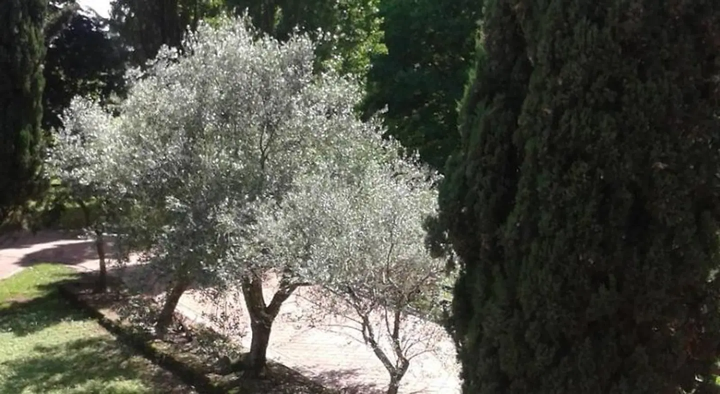 I Pioppi Bed & Breakfast LANDSCAPE