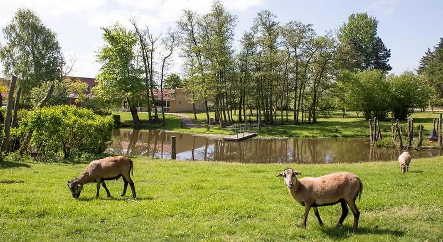 Fjelsted Skov Kro Tiere