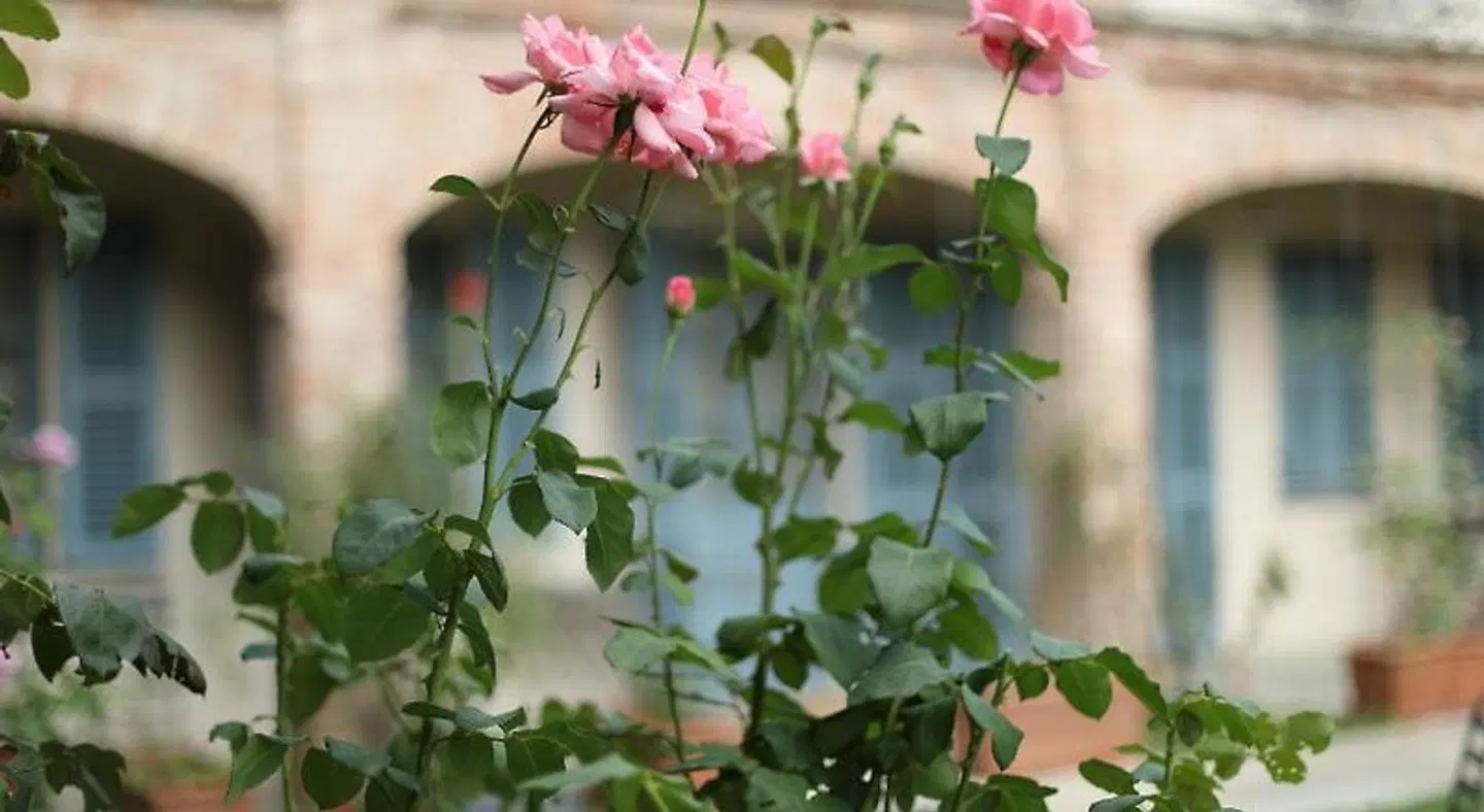 Locanda Dell' Orso Bevitore LANDSCAPE