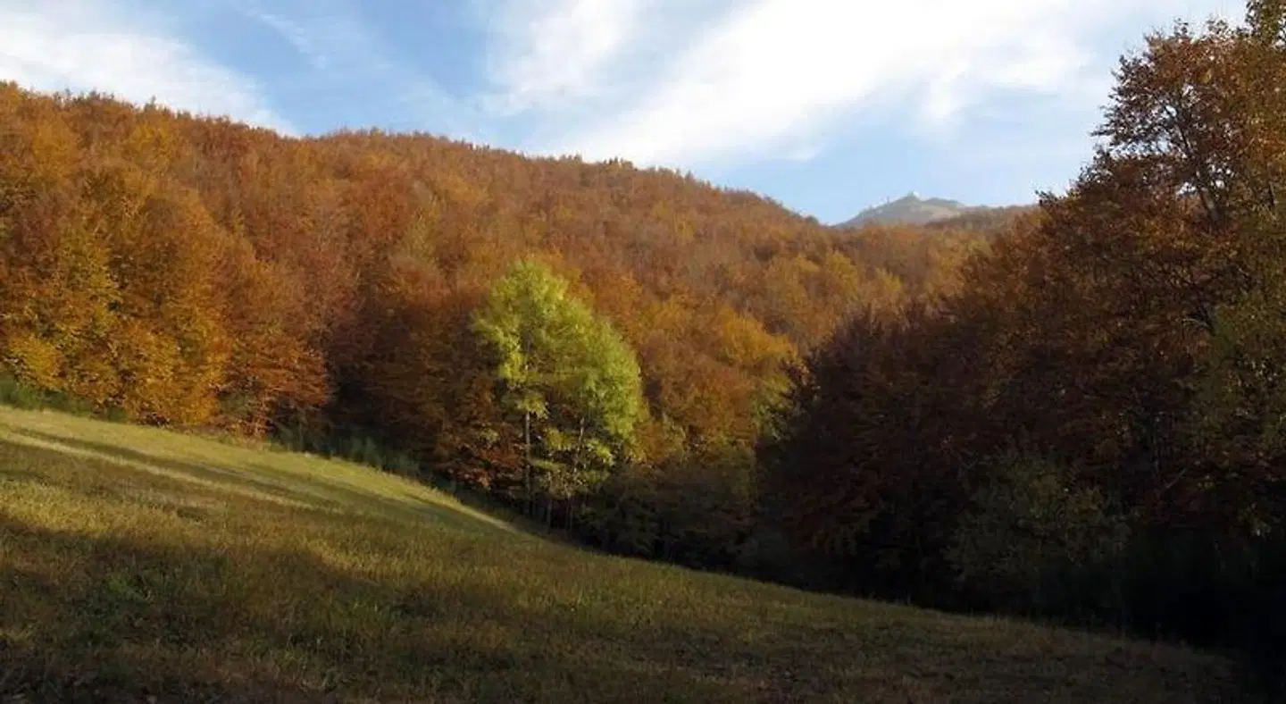 Residence Cimone LANDSCAPE