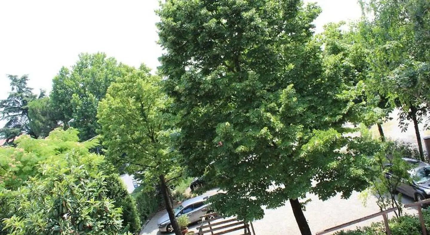 Antica Locanda Il Sole Garten
