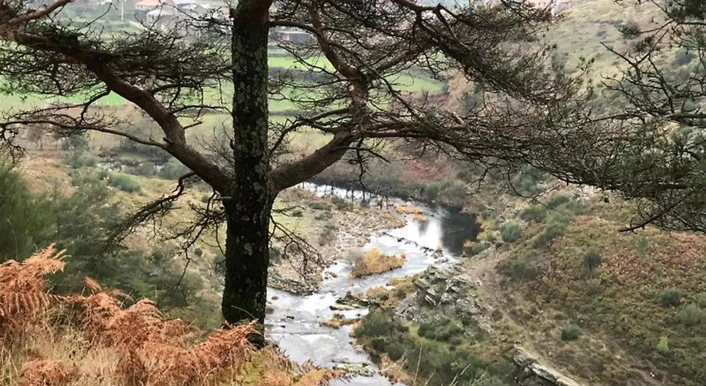 Refugio dos Macedos LANDSCAPE