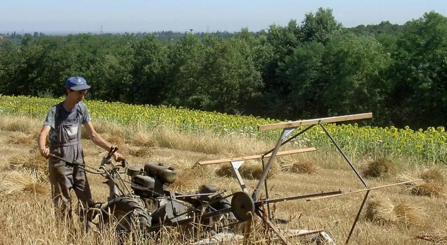Agriturismo Cascina degli Ulivi Tiere