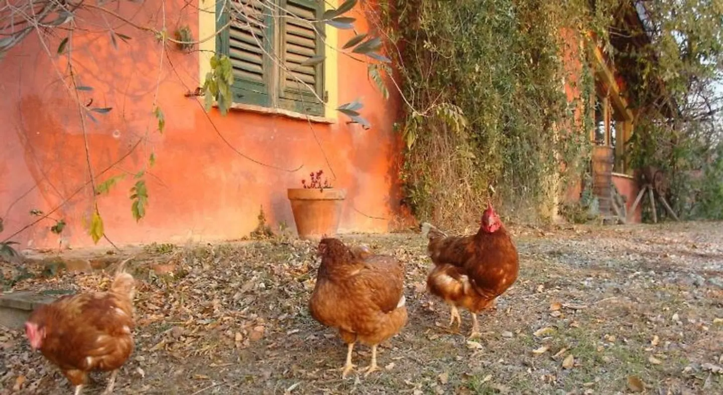 Agriturismo Cascina degli Ulivi Tiere