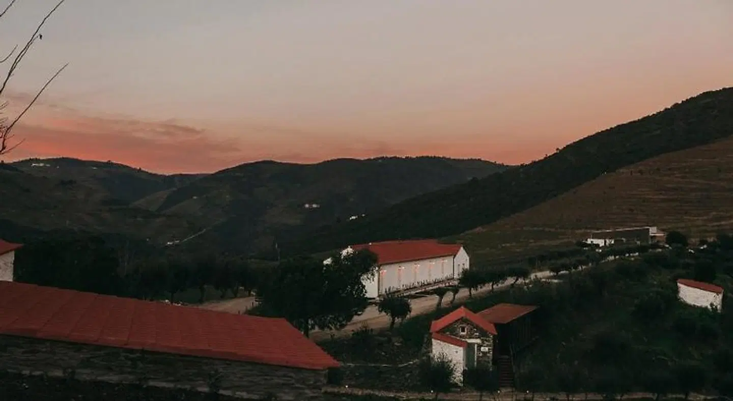Ventozelo Hotel & Quinta LANDSCAPE