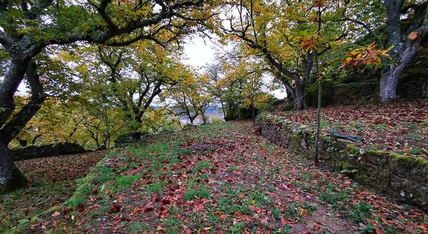 Casa do Castelo Garten