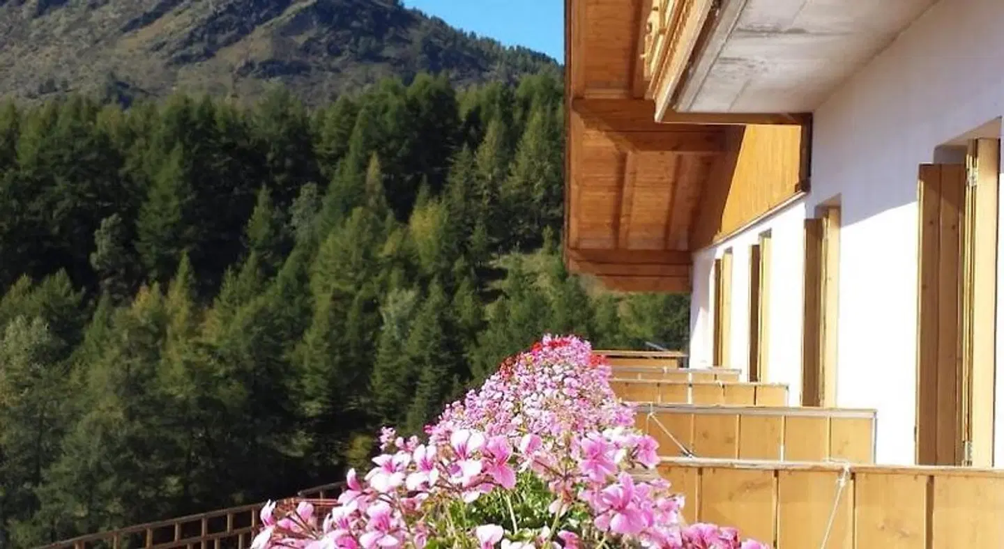 Belvedere Mountain Experience Terrasse