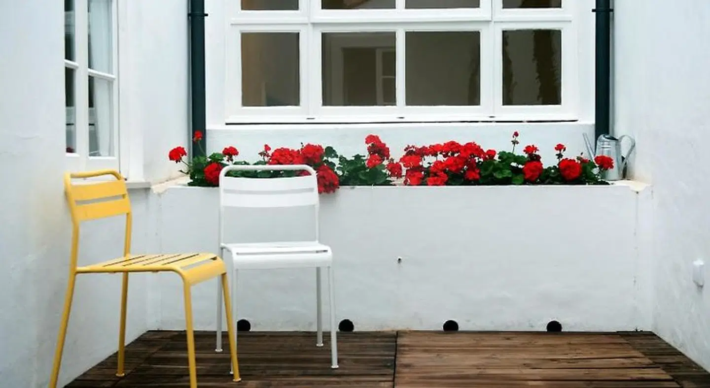 Coimbra Vintage Lofts Apartments Restaurant