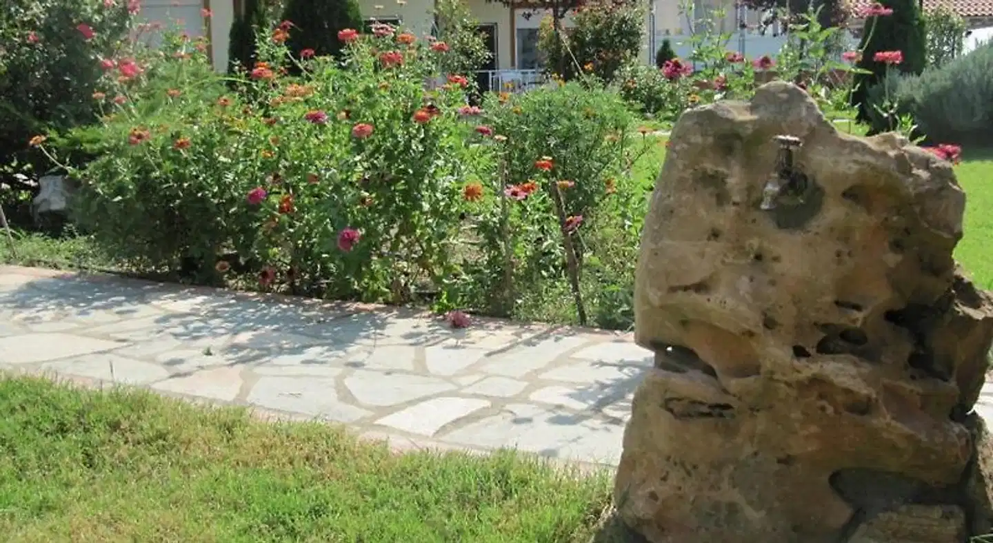 Daniel's Studios Garten