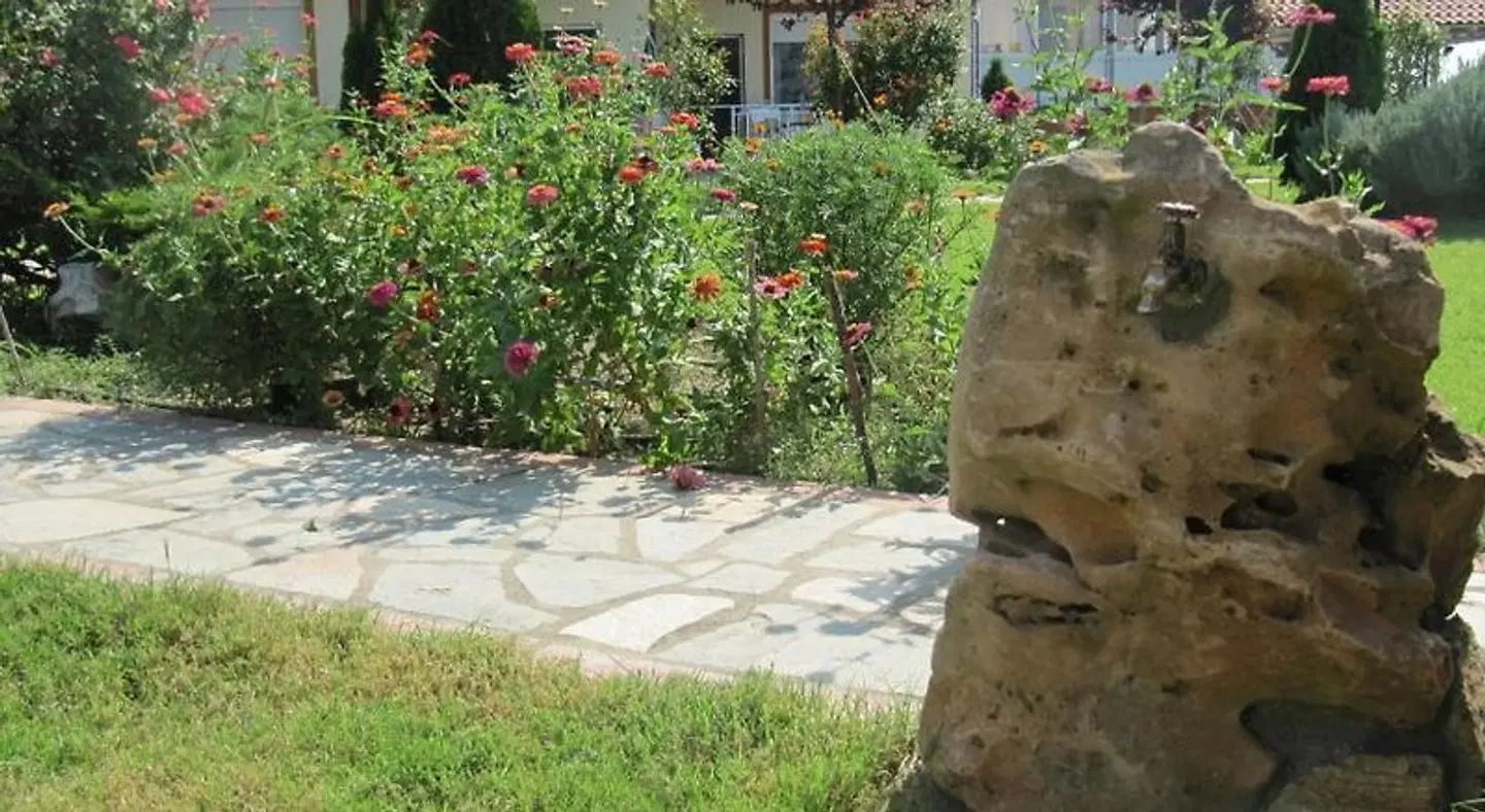 Daniel's Studios Garten