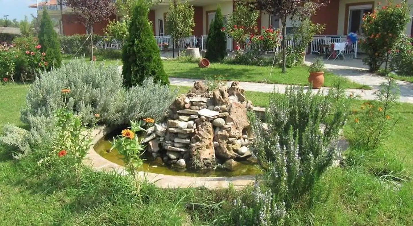 Daniel's Studios Garten