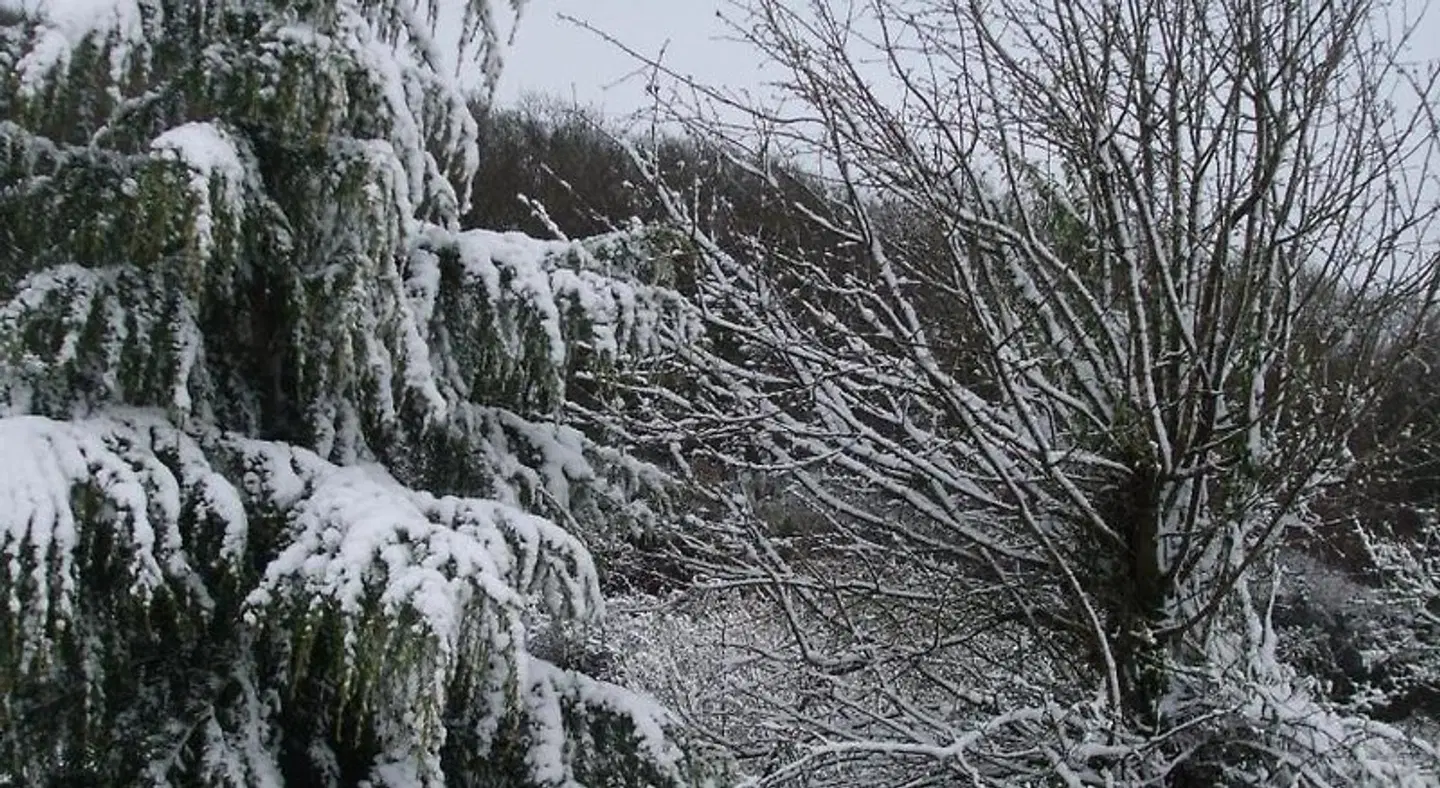 Cwmbach Guest House LANDSCAPE