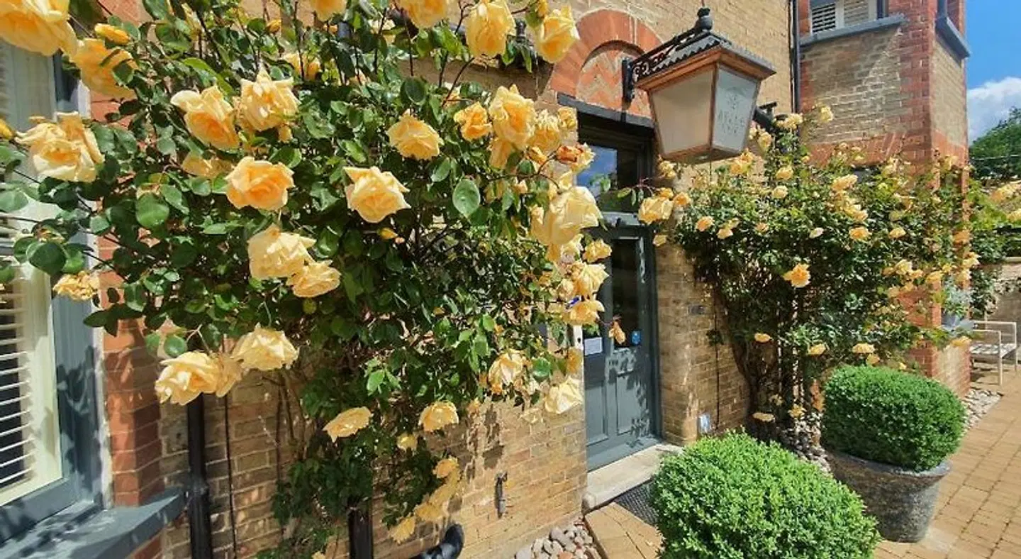 Belle Vue Garten